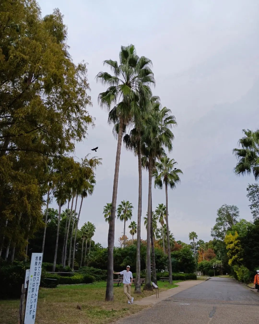 Me touching a palm tree